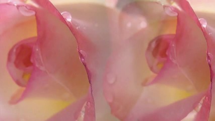 a new day has come, celine dion