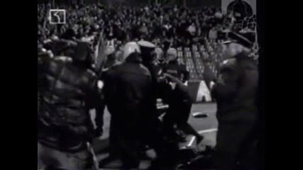Levski Ultras Hooligans