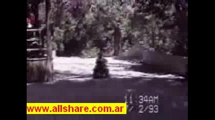 Funy Dogs And Cats Movie