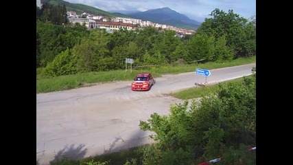 rally vida 2010 