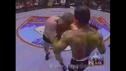 Ultimate Fighting Championship 4