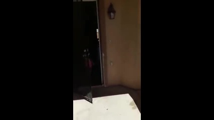 Трошене на Xbox за наказание