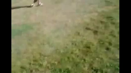 Момиче се учи да кара мотор