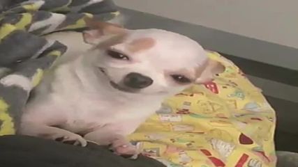 me if i ever see wonho