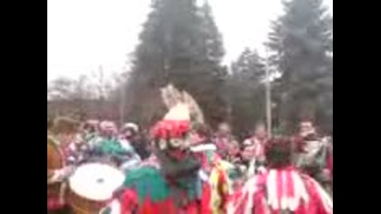 Сурва село чепино 2010