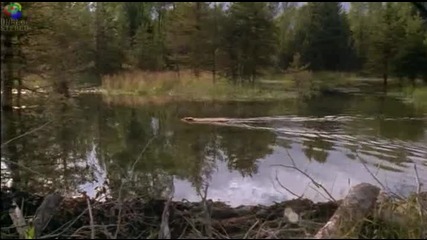 Страхотна Изобретателност 