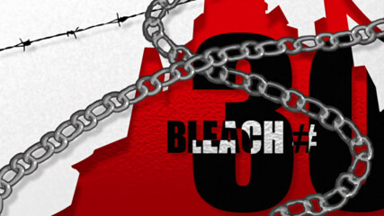 Bleach - Episode 30 [bg Sub][1080p][viz Blu-ray]