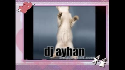 Dj Ayhan