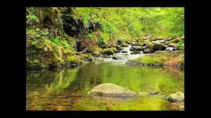 Relaxation and Sleep Audios