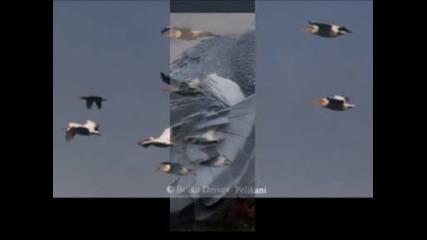 Много ама много хубава балада !