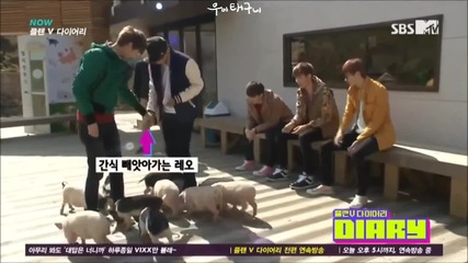 vixx leo