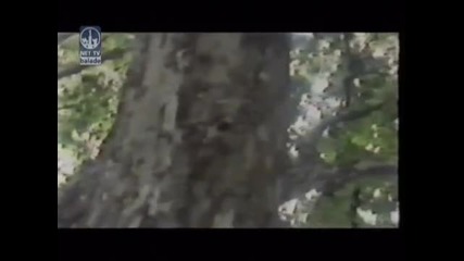 Ceca - Eh, Tesko Meni