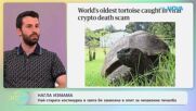Нагла измама с най-старата костенурка в света | На кафе | 3 апр. 2026