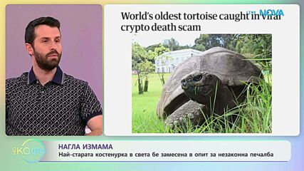 Нагла измама с най-старата костенурка в света | На кафе | 3 апр. 2026