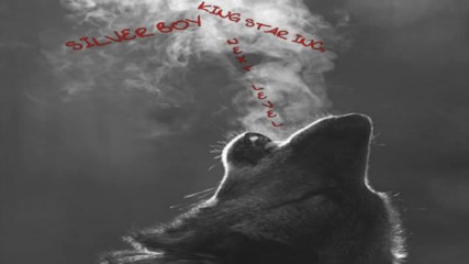 Silver boy - Студ
