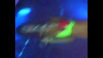Te Daria Todo - Eslovenia - 5.9 A Las 21.00