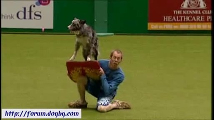 Танц с кучета - Ричард Къртис на Crufts 2010 