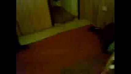 лесура сабора 1 