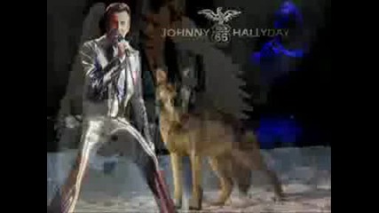 Johnny Hallyday Jai besoin dun ami (превод)