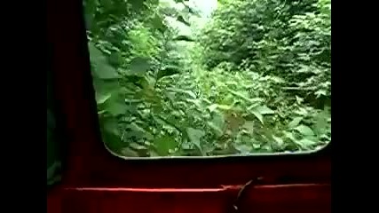 Влак в тайгата