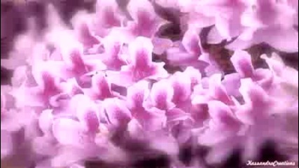 Yiruma and Oasis - Flowers We Are