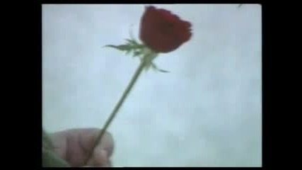 Vangelis & Demis Roussos - Because