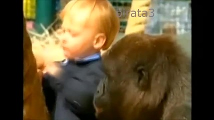 Малкият Тарзан-момчето, което живее с горили.