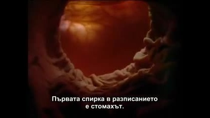 Човешкото Тяло + Превод ( Част Първа)