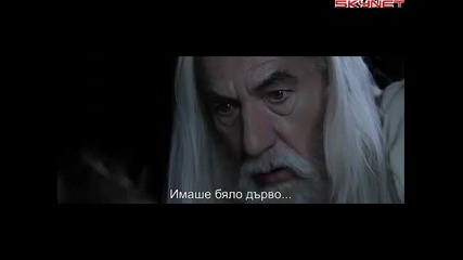 Властелинът на пръстените Завръщането на краля (2003) бг субтитри ( Високо Качество ) Част 2 Филм 