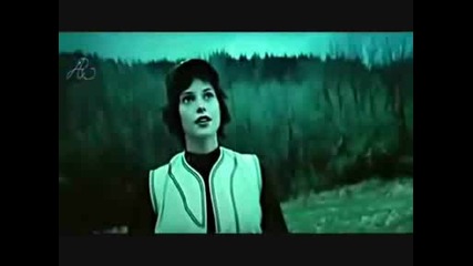 Twilight - Vampire Heart
