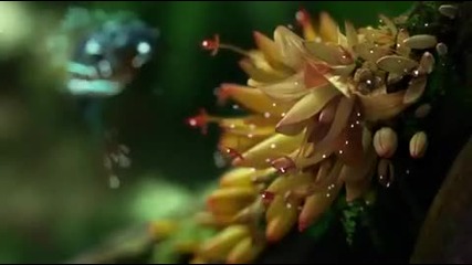 Samsung Led Tv amazing commercial [hd]