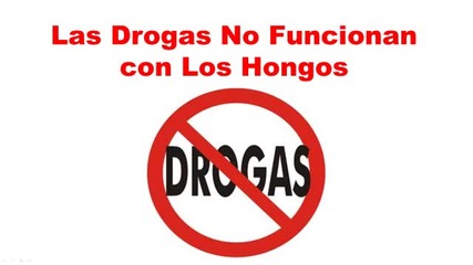 Remedios Para Hongos En Las U