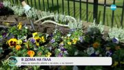 На гости в къщата на Гала - „На кафе” (20.10.2023)