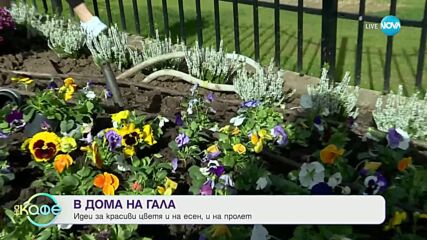 На гости в къщата на Гала - „На кафе” (20.10.2023)
