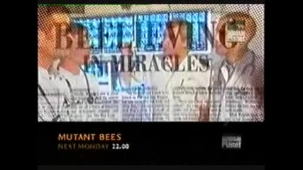 Пчели мутанти - промо (2004)