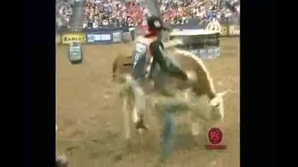 Ryan Mcconnel vs Incredi - bull 