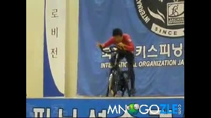 Wtf спорт