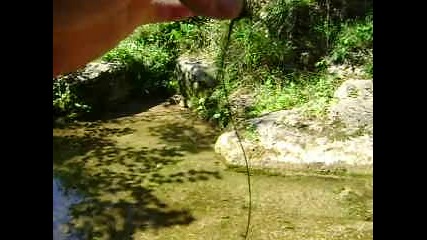 Mov03060 