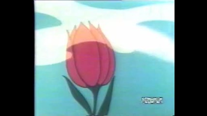 A Scent Of The Matterhorn!
