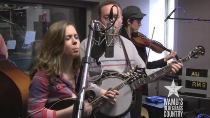 Sierra Hull - Don't Pick Me Up / Live at Wamu's Bluegrass Country