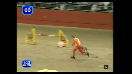 Най - бързото куче в света !