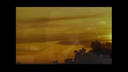 Chuckii Booker - I Should Have Loved You