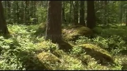 Ensiferum - Finnish Medley 
