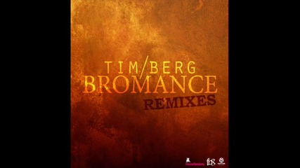 Tim Berg - Seek Bromance (aviciis Vocal Mix) 