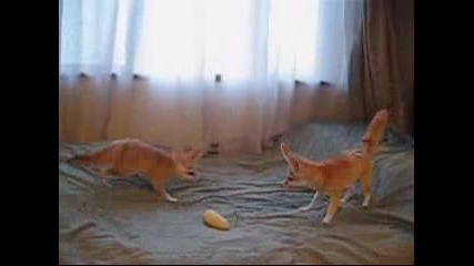 Смешно клипче! 