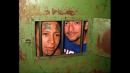 Ms - 13, Aryan Brotherhood