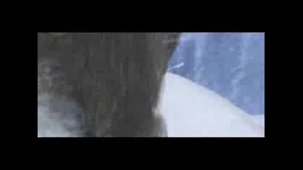 World Of Warcraft Trailers