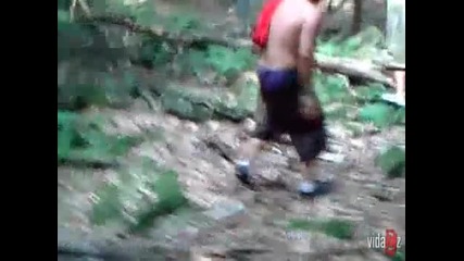 Двама идиота и дърво
