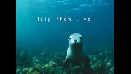 Save Planet Earth 