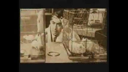 Rammstein - Te Quiero Puta! d Direct Injection